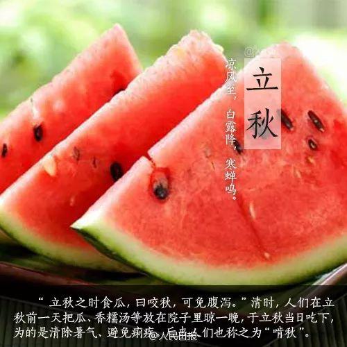 江苏经贸吃瓜会计,吃瓜会计的趣味解读