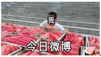 吃瓜前线意思,揭秘娱乐圈幕后真相