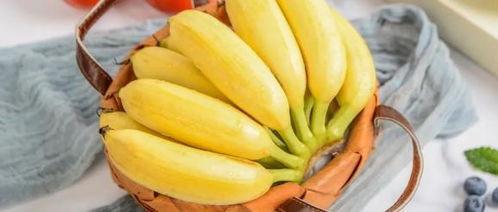 香蕉瓜为啥蘸酱吃,香蕉瓜蘸酱的独特风味体验