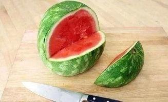 吃瓜好教程,轻松掌握瓜界秘籍，畅享美食盛宴