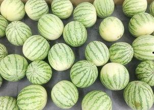 不想再吃瓜了,拒绝八卦，拥抱宁静生活