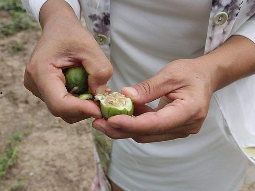 吃瓜运气,揭秘吃瓜运气的神秘面纱