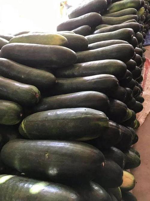 广西吃大瓜,大瓜的独特风味之旅