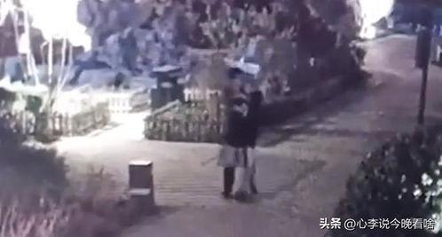 沂南吃瓜事件视频,一场网络热议的乡村奇观揭秘