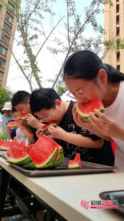社区吃瓜比赛活动,欢乐吃瓜，共享邻里情谊