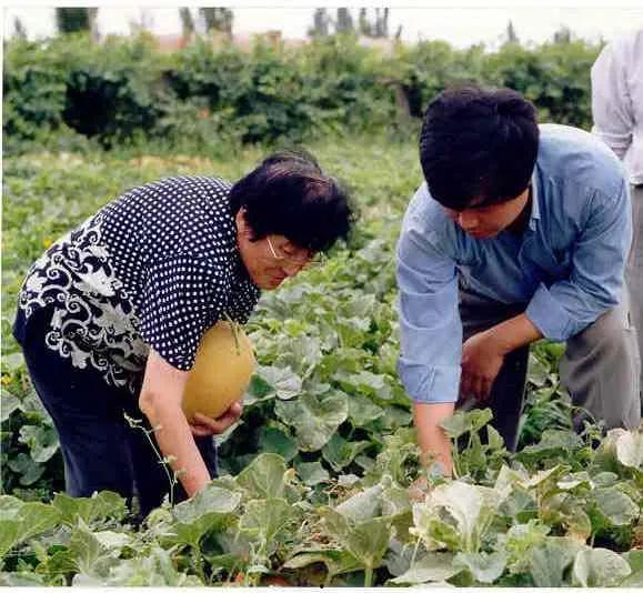 南初助理吃瓜,揭秘娱乐圈幕后风云