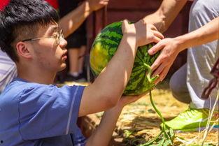 吃瓜大疯马,揭秘娱乐圈幕后风云